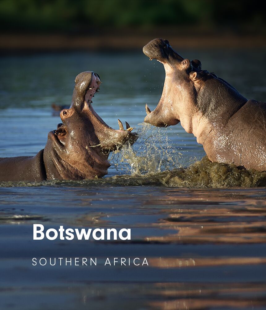 bespoke travel experiences to Botswana with premier Africa