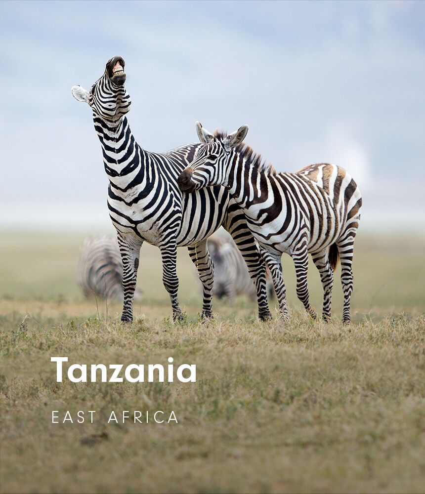 bespoke travel experiences to Tanzania with premier Africa