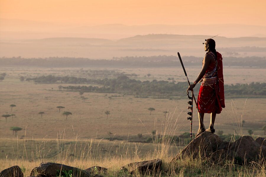 Local viewing landscape.