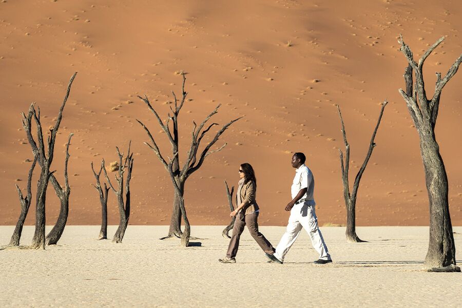 Sightseeing the desert and trees while on luxury safari with Premier Africa