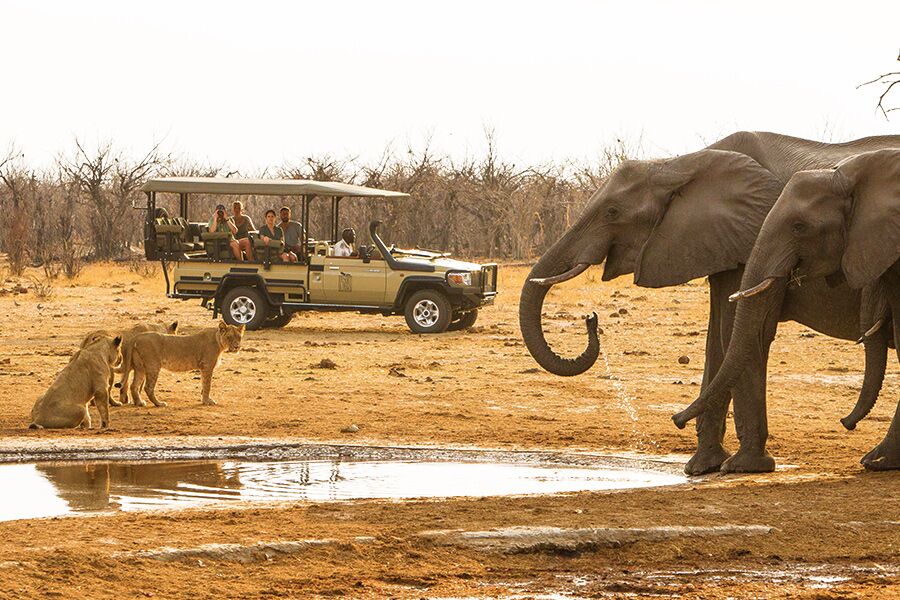 Wildlife viewing lions and elephants at watering hole while on a private, exclusive game drive in Chobe National Park