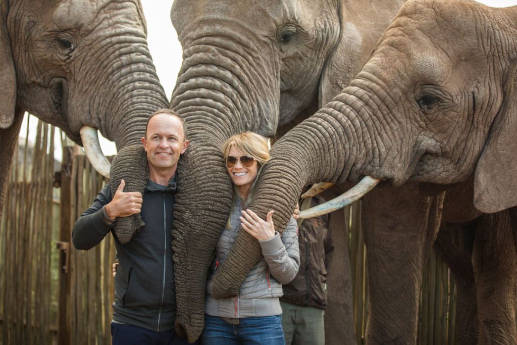 Luxury Golf and Safari South Africa Elephant Interaction Experience