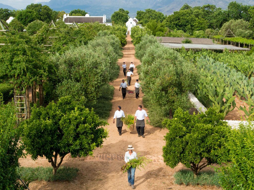 Luxury Golf and Safari South Africa in the Cape Winelands