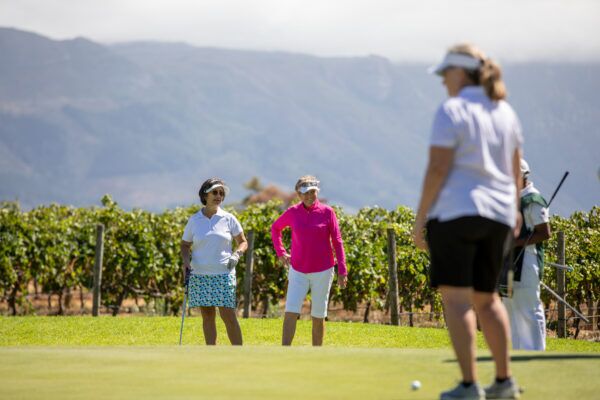 Golf at Steenberg Golf Club