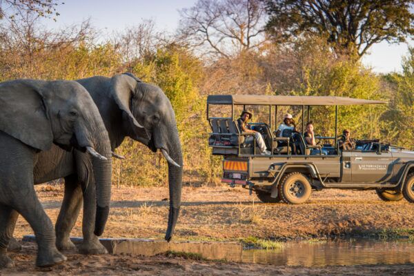 Stanley and livingstone hotel premier africa lpga