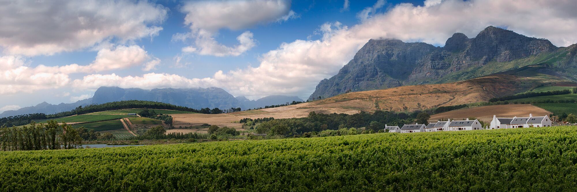 cape-winelands-header-01