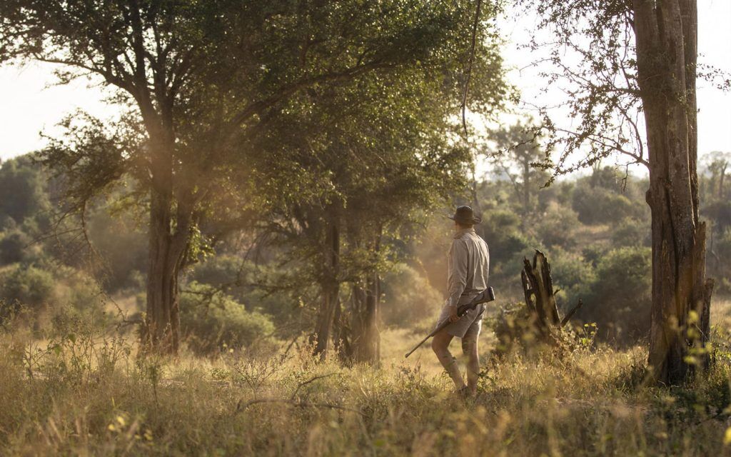 mala-mala-rattrays-camp-experiences-bush-walk