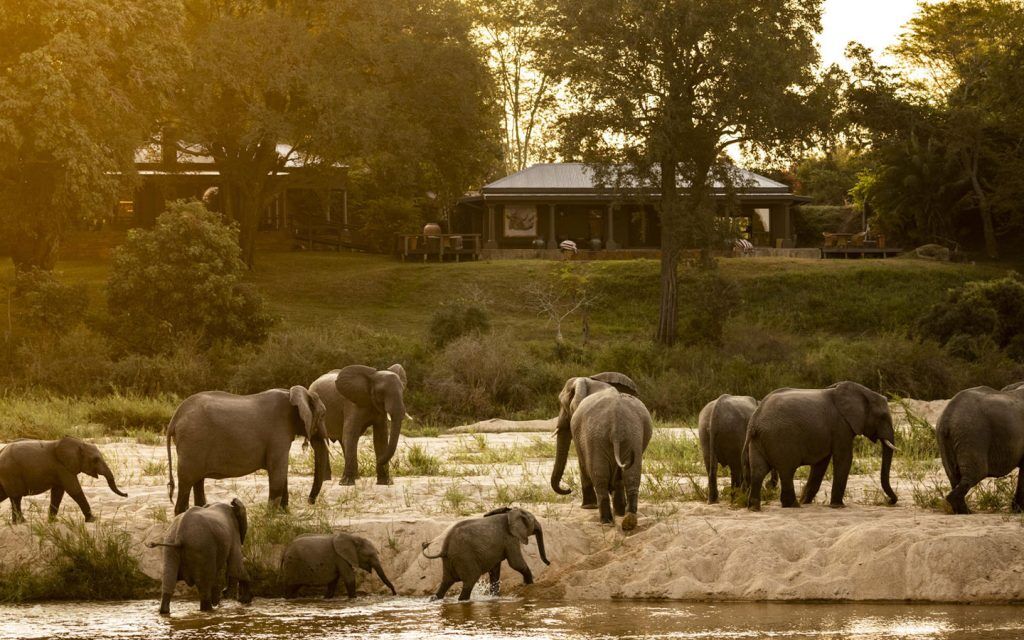 mala-mala-rattrays-camp-riverfront-wildlife-viewing