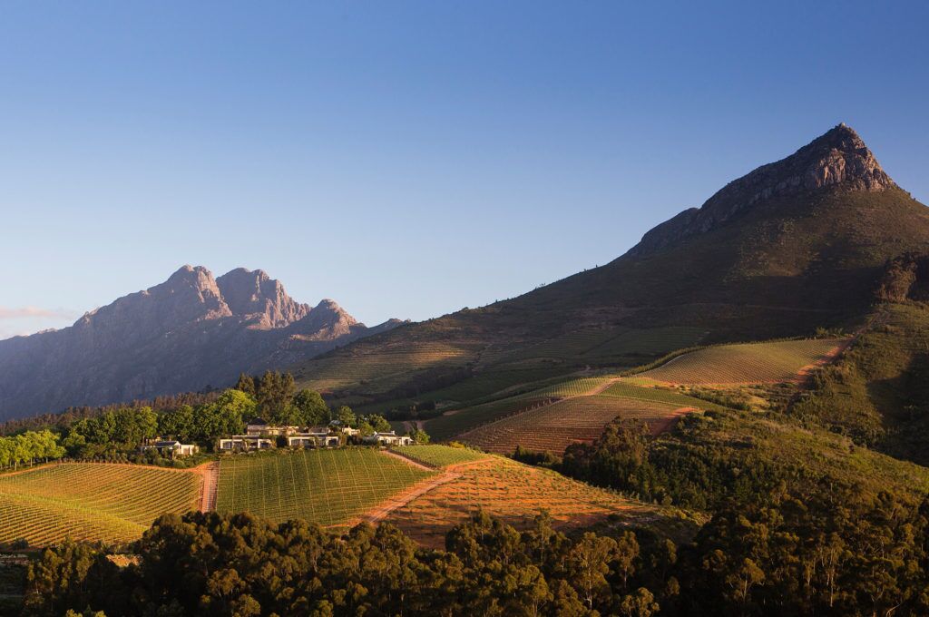 cape-winelands-landscape