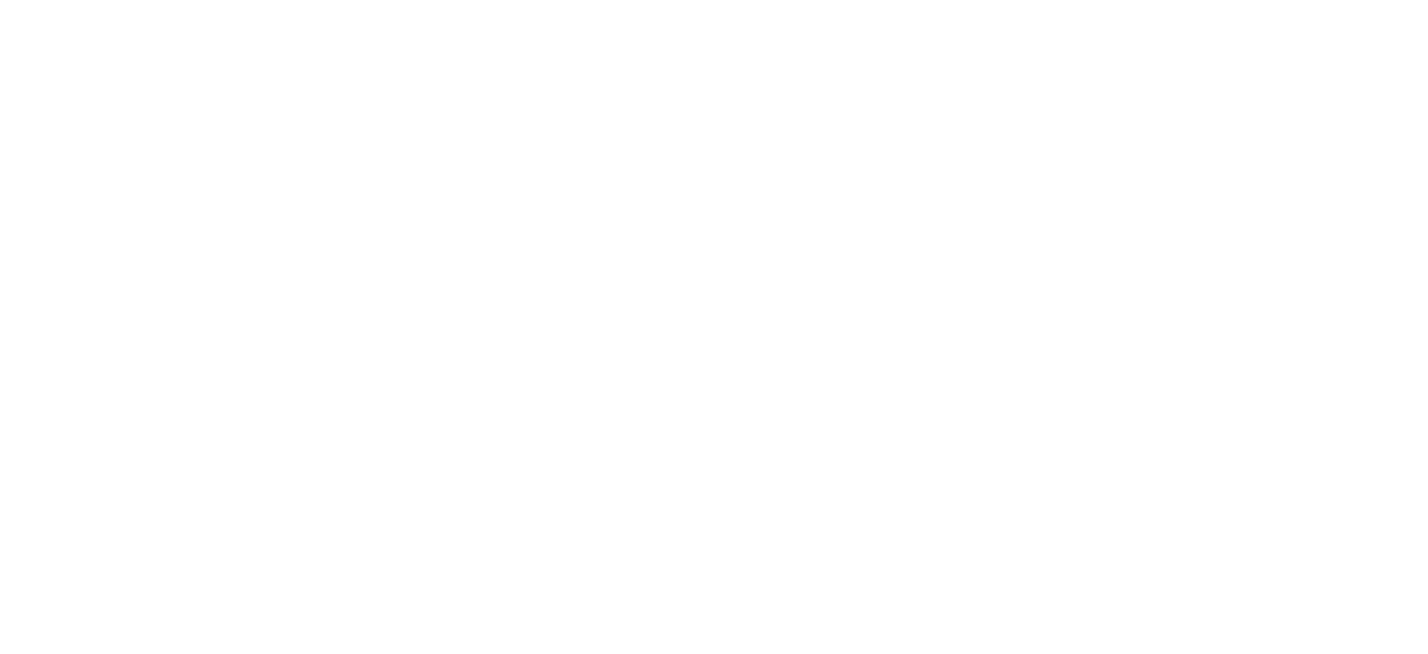 premier africa white logo large