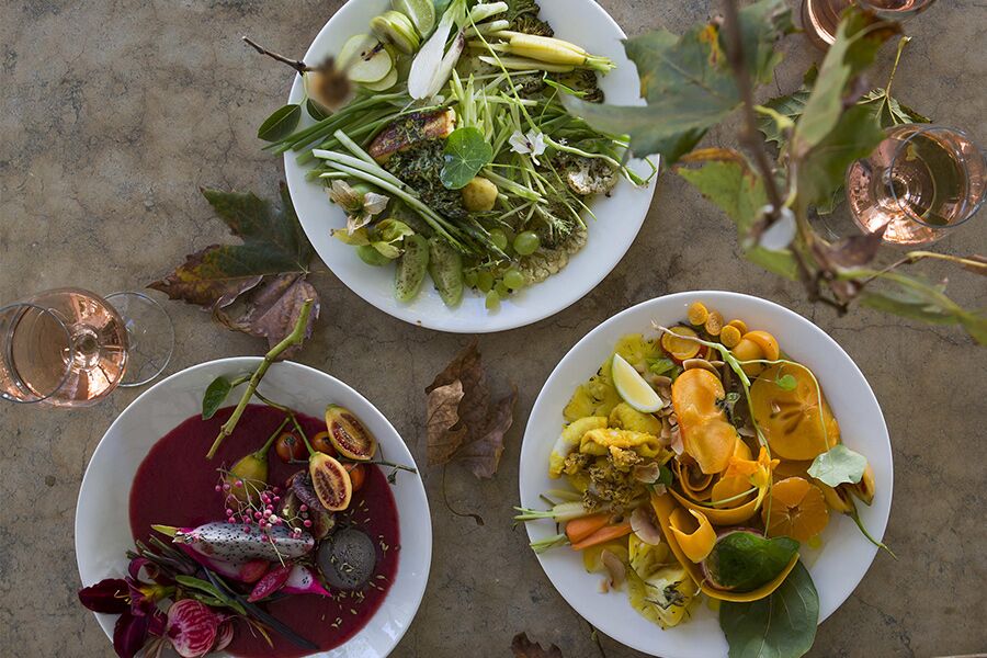 Luxury accommodation fine dining experience while on luxury safari with Premier Africa in Cape Winelands, South Africa