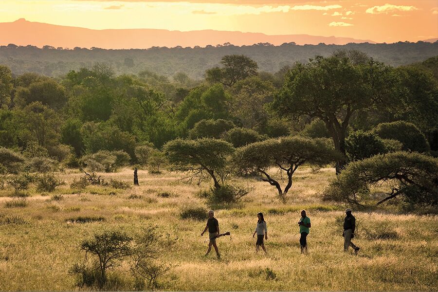 Private guide hike in the bush at sunset, part exclusive luxury safari experience in Lion Sands