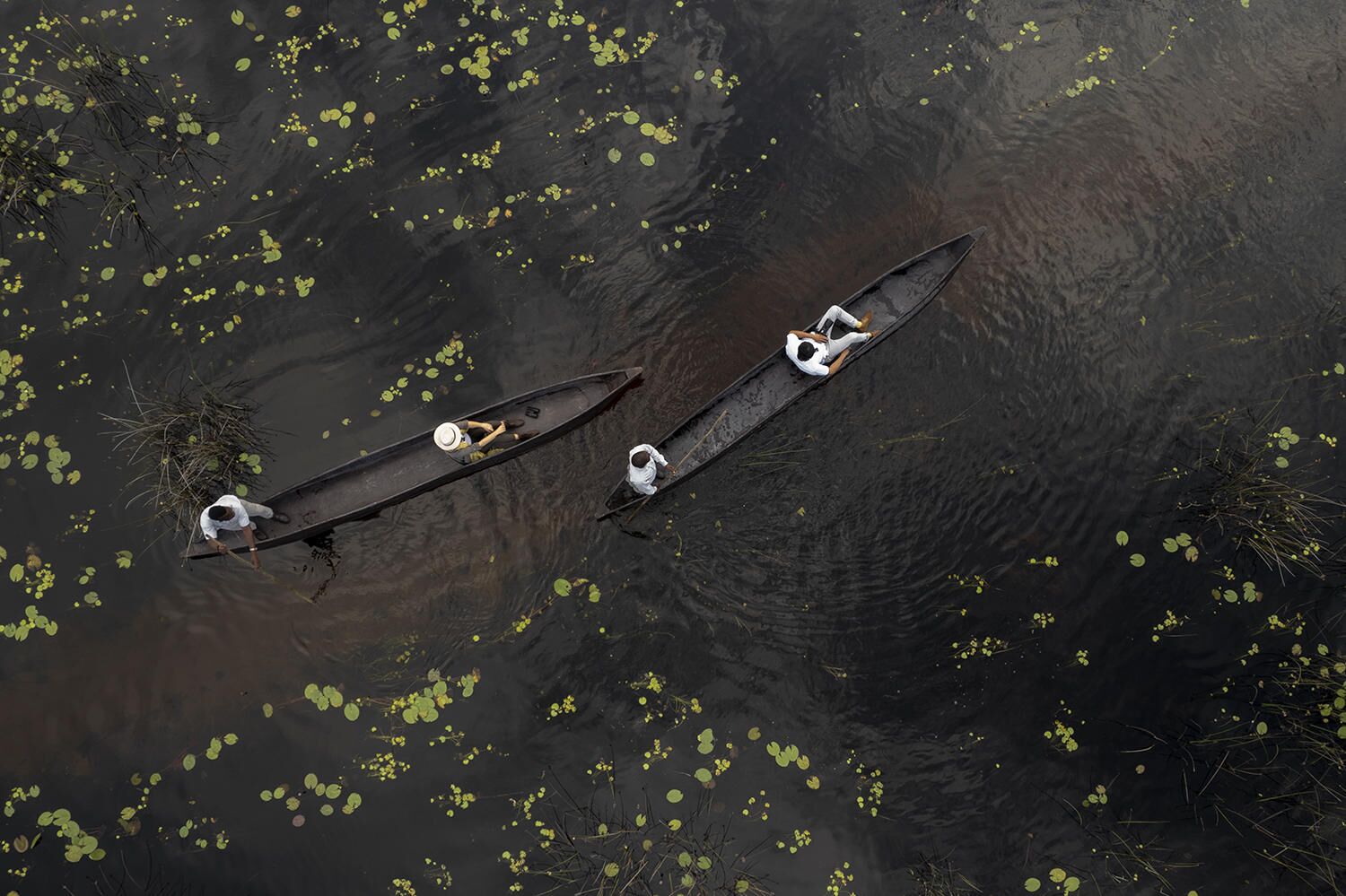 Private Mokoro boat ride at Moremi-reserve. Part of the luxury safari package at in Botswana.