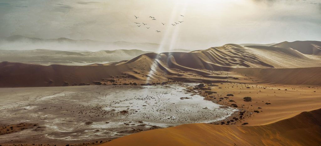 Viewing sand dunes of Namibia while on exclusive safari with Premier Africa