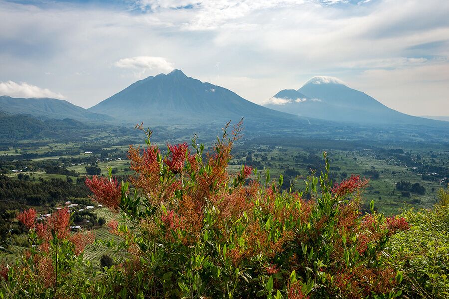 View of volcano in Rwanda while on private safari