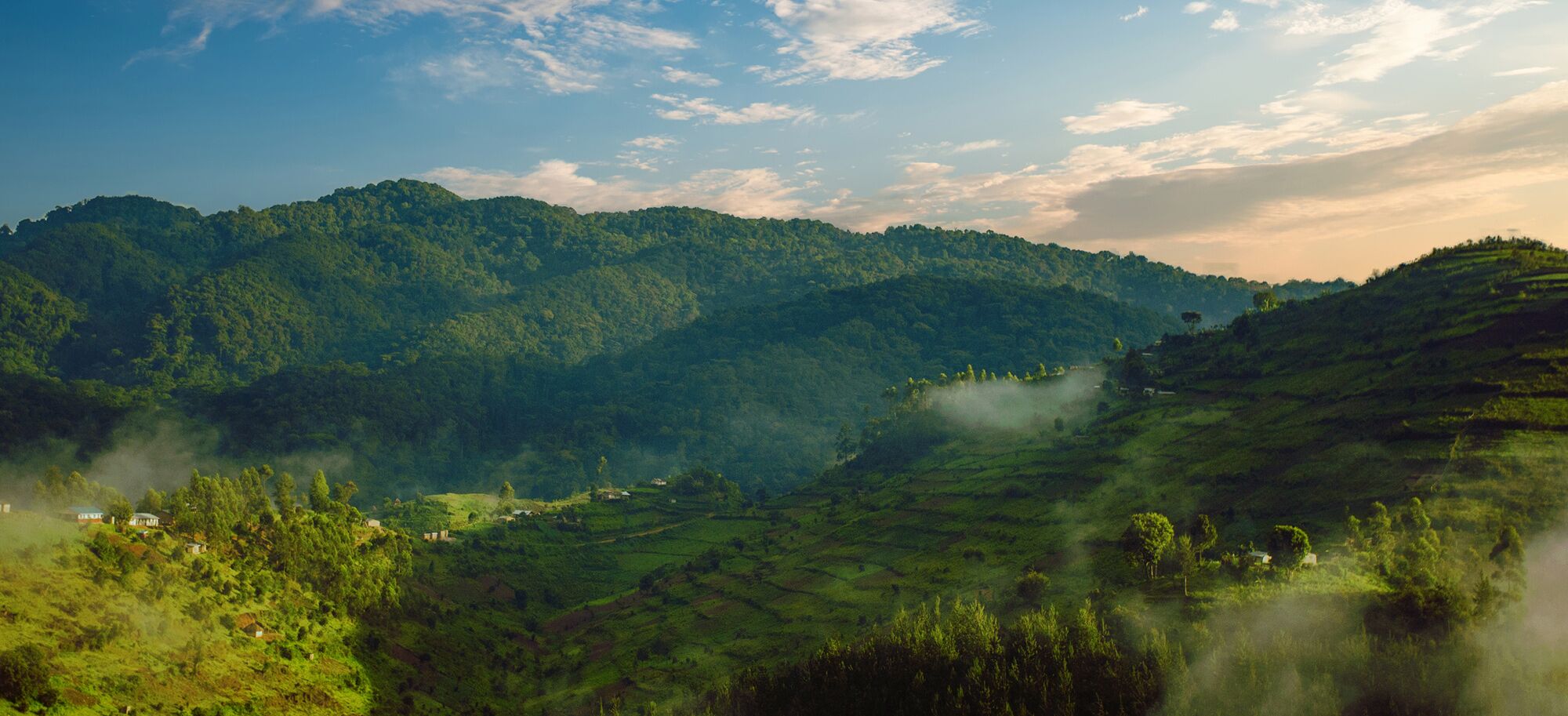 bwindi-header