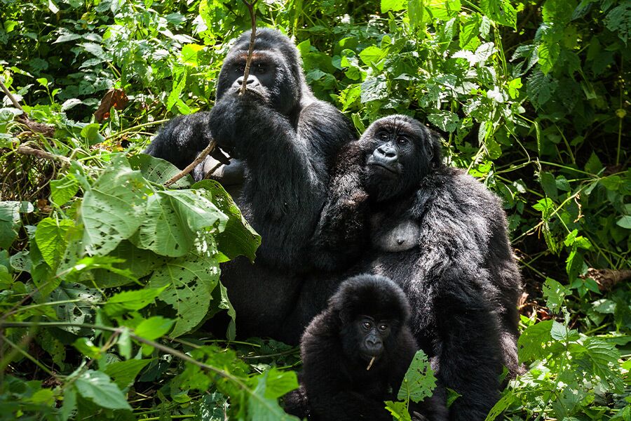 volcanoes-activities-04-1