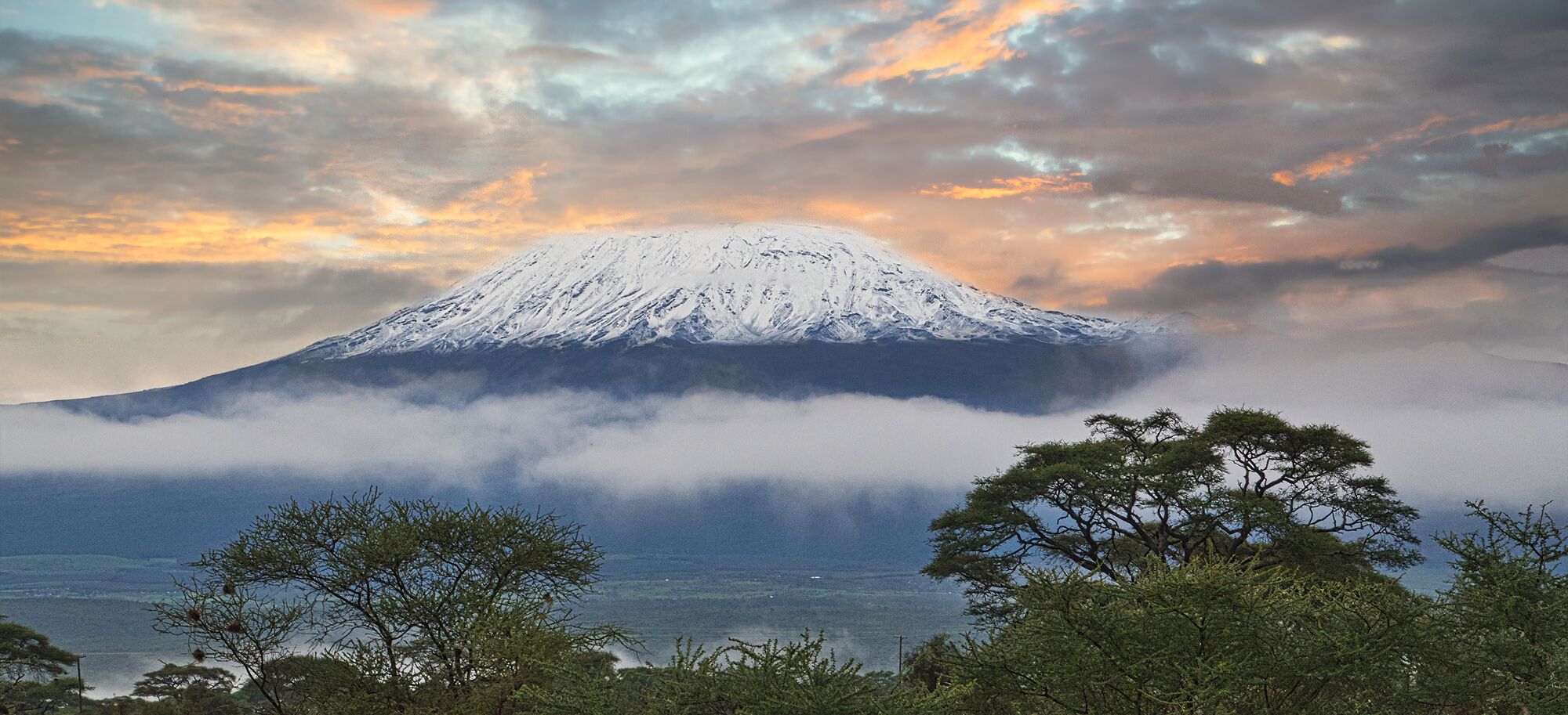 kilimanjaro-header-01