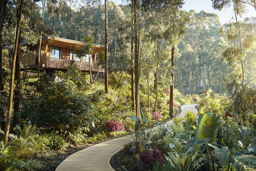 Luxury Accommodation: One&Only Gorillas Nest cottage in the forest with walk way.