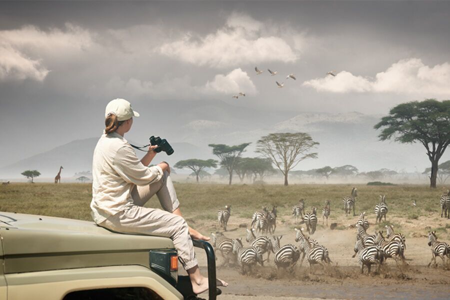 Wildlife viewing zebras crossing river in the plains of east Africa