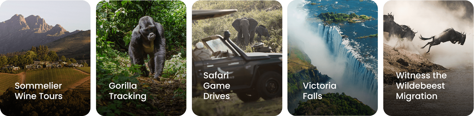 experiences-premier-africa-mobi-row-1