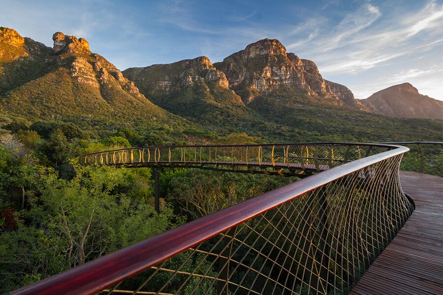 Hiking on bridge in Cape Town, sightseeing while on a private golf and safari tour through South Africa.