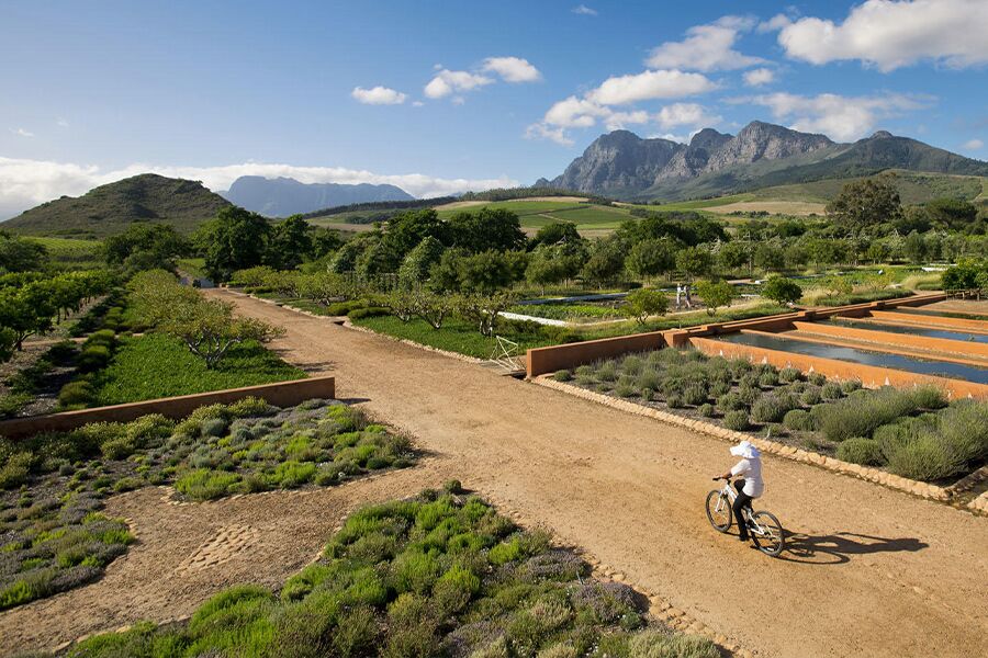 View of winelands while on private wine tasting tour