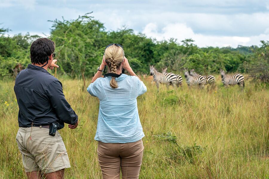 Wildlife viewing zebra while on a luxury safari in Rwanda
