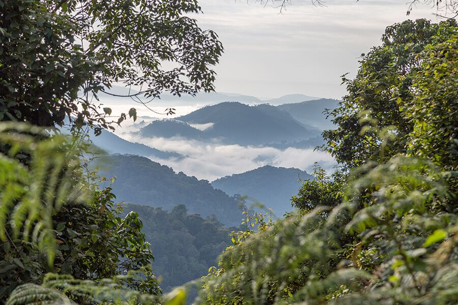 Stunning view in Uganda while on private, guided hike