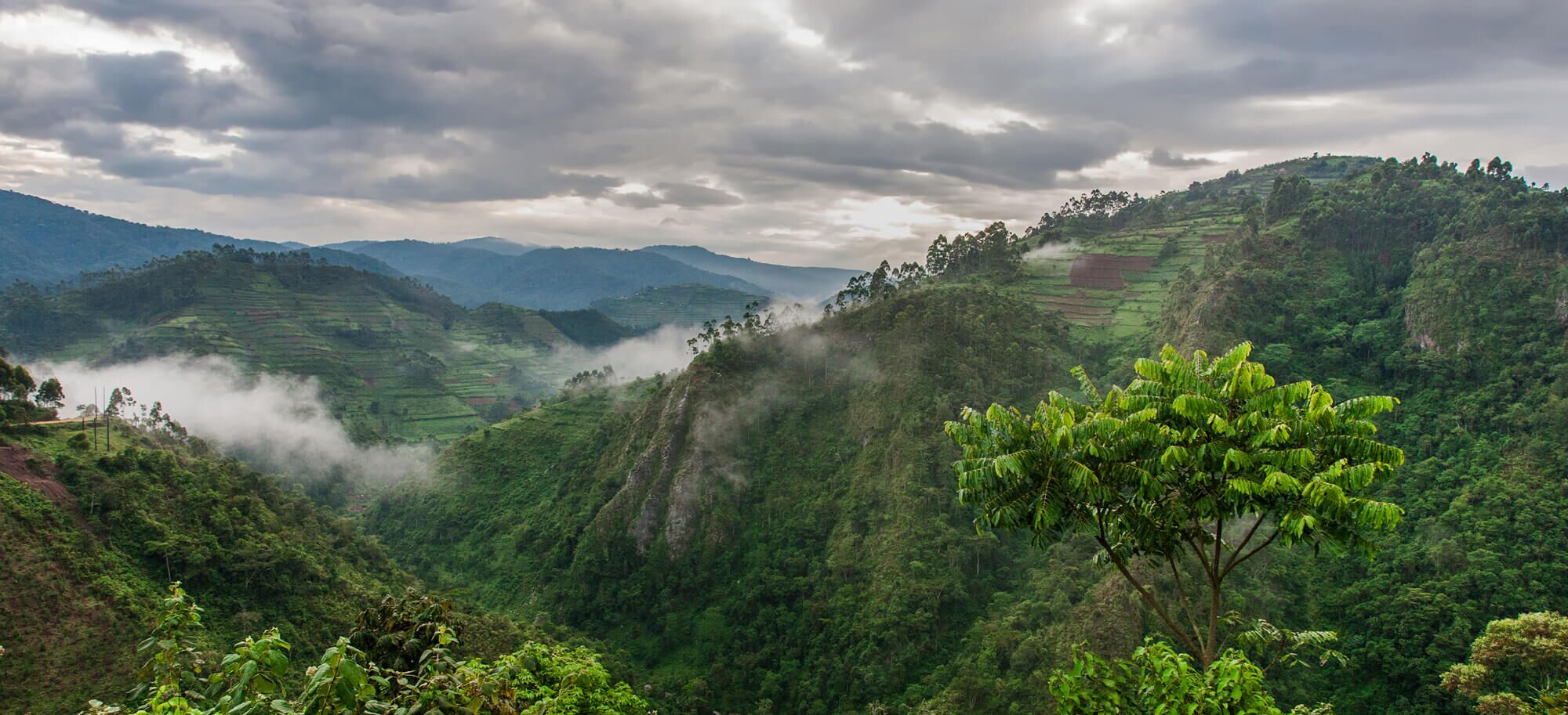 Aerial view from private charter flight over Uganda