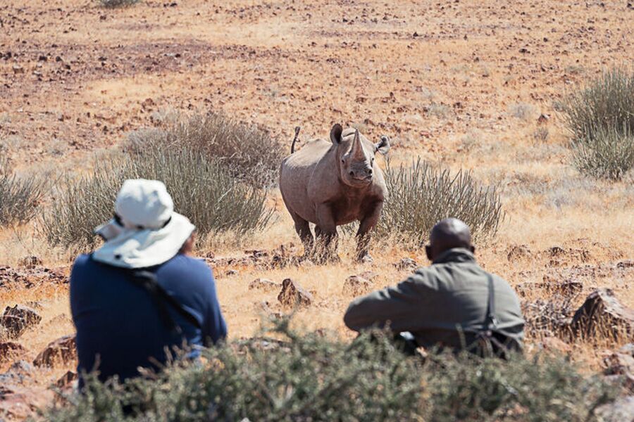 Tour group seeing a rhino in the desert of Palmwag while on a luxury safari hiking tour