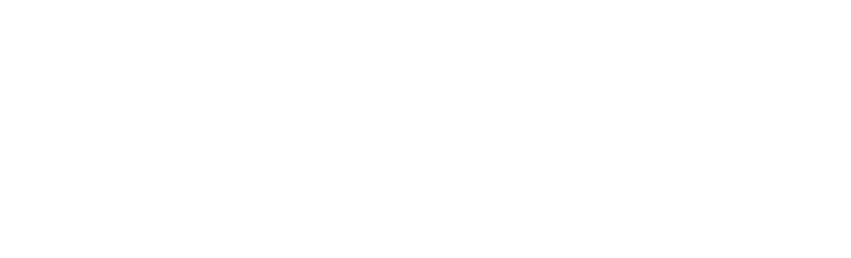 a quote from David Frost