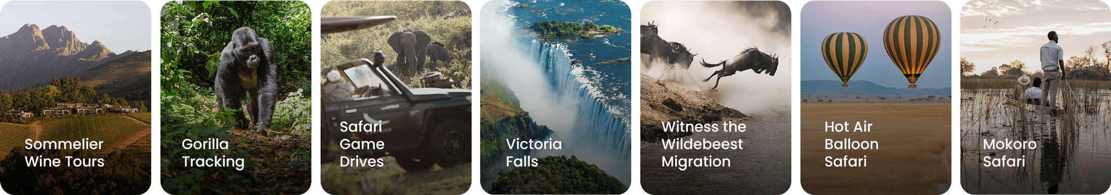 experiences-premier-africa-1