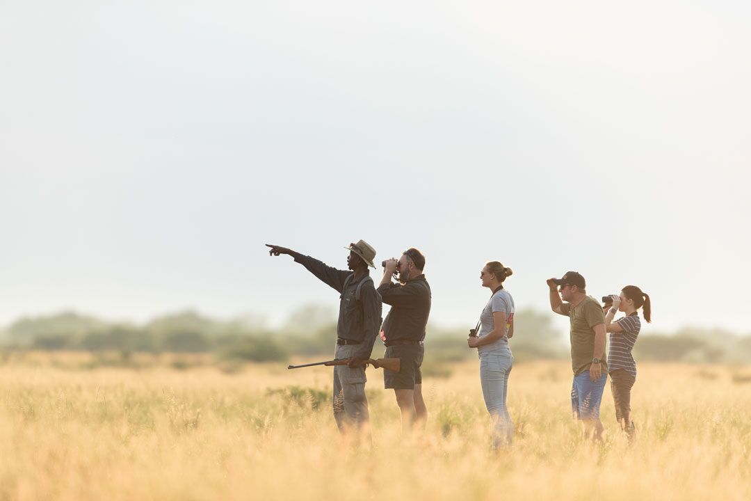 Wildlife hiking with armed tour guide in mala mala game reserve while on a luxury safari with premier Africa.