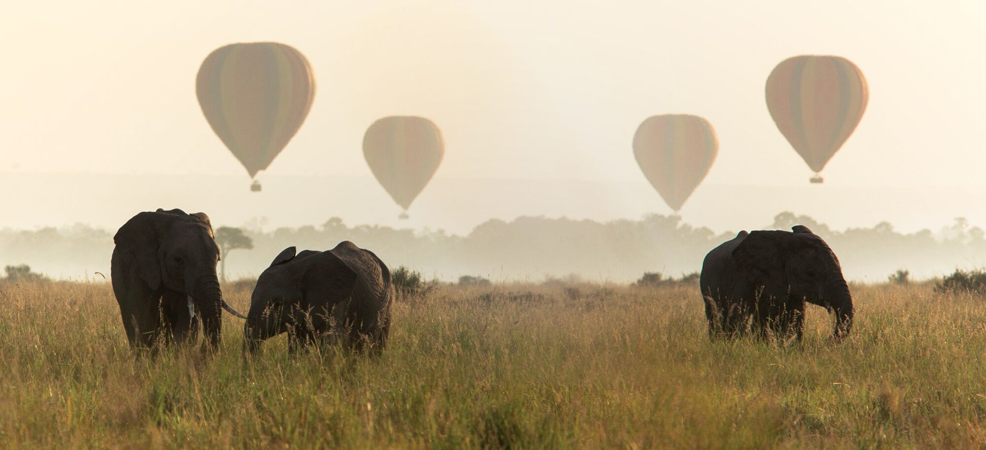 kenya-header