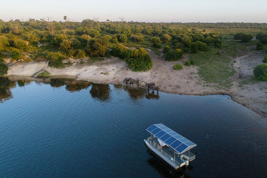 Wildlife viewing Elephants drinking from Chobe River while on a luxury boat ride tour in Chobe National Park, Botswana