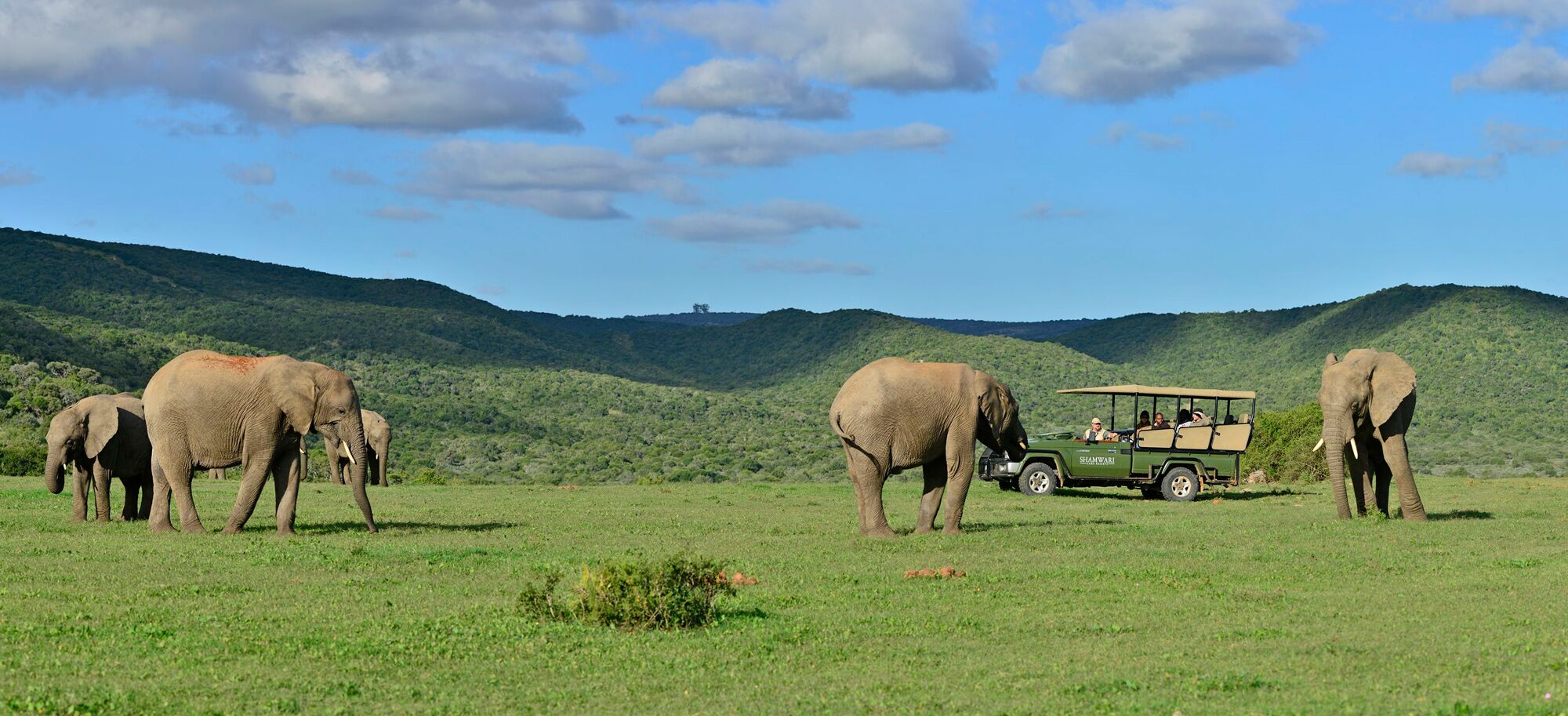 shamwari-header