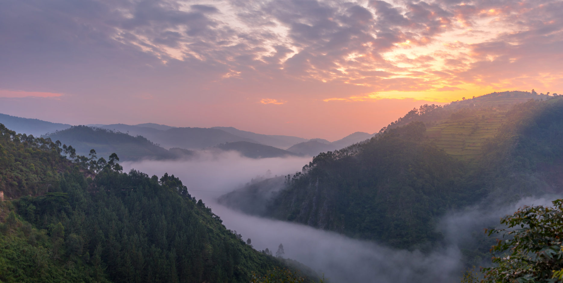 bwindi-impenetrable-forest